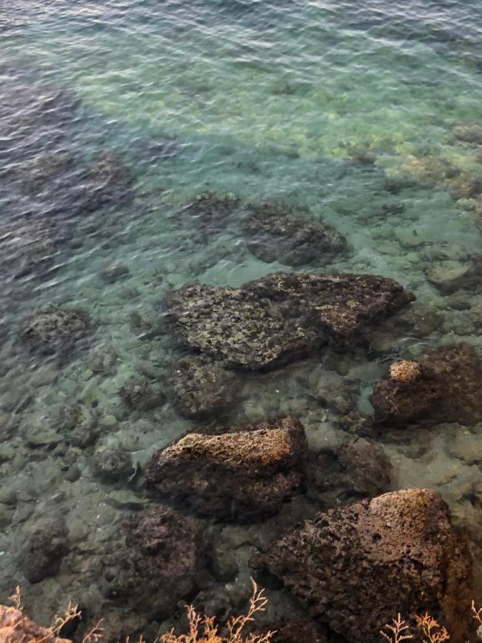 Casa Vacanze Antiche Mura E Poi 莫诺波利 外观 照片
